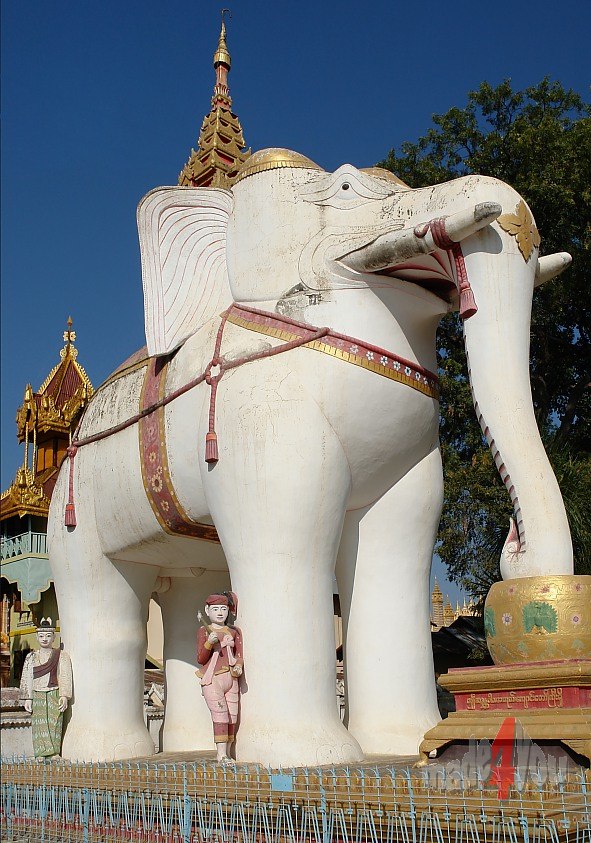 Gigantischer Elefant vor der Thanboddhay Pagode in Monywa