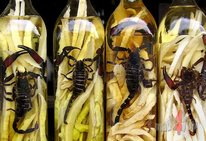 Scorpions in alcohol as sexual enhancer