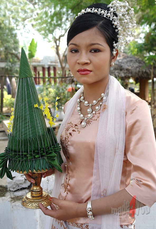Burmese Beauty on the novices festival
