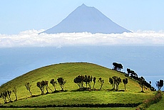 Blick von Faial auf den Vulkan Pico