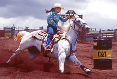 Rodeo on the Parker Ranch