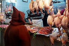 Poulterer in the Medina of Tetouan
