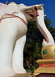 Gigant elephant in front of Thanboddhay Pagoda in Monywa