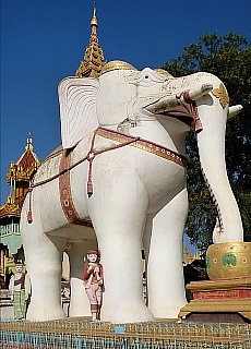 Gigantischer Elefant vor der Thanboddhay Pagode in Monywa