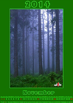 Theme calendar jungle, forest