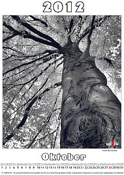 Theme calendar black & white infrared Fotografie