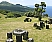 Island Sao Jorge, Serra do Cume on Terceira: Page 16 (11 Photos)