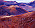 Landscape & Travel/Lanzarote Landscape & Travel/Lanzarote