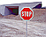 Page 1 (9 Photos)