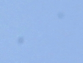 dramatic Sensor polution of a brandnew, original packaged Canon EOS 5d mark II