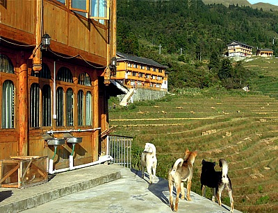 Gasthaus in den Reisterrassen von Longshen