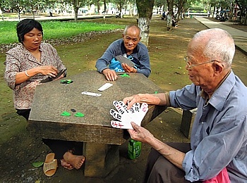 Chinese grandmothers and grandfathers in the park playing cards