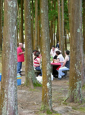 Picnic in the forest at Lagoa Furnas