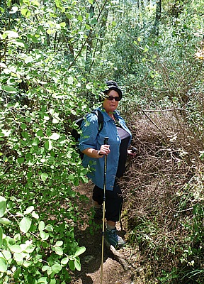 In the forests of Ulupinar