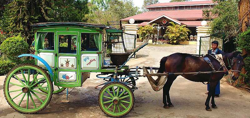 Our horse-drawn carriage in front of the Royal Parkview Hotel in Pyin Oo Lwin