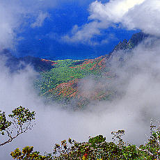 Clouds arrise every day on the Pihea Trail of Napali coast