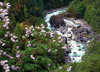 Serpentine like, the milk river (Dudh Koshi) winds through the narrow valley of Khumbu