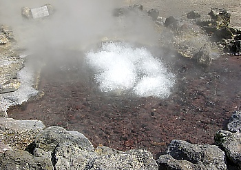 Boiling Hot water shoots out of the earth