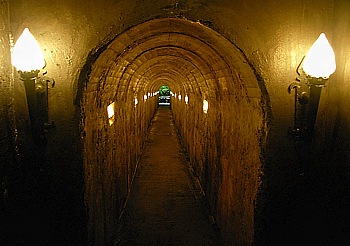 Entrance to the volcanic vent Algar do Carvão