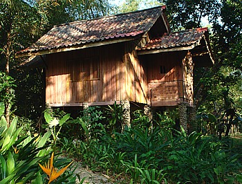 Treehouses in the Art's Riverview Lodge at the Jungle of Khao Sok National Park