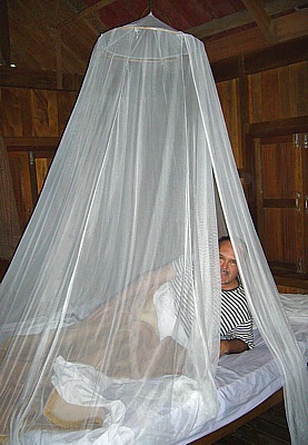 Mosquito net in the Art's River Lodge