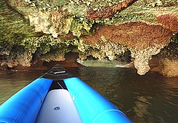 Paddle boat tour in Phang Nga National Park