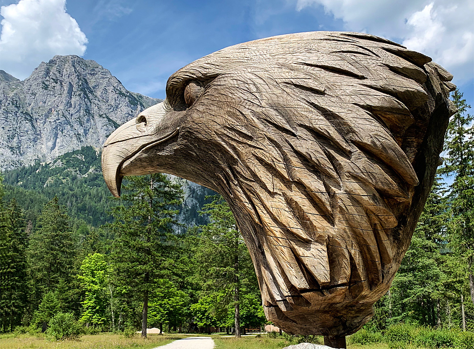 Eagle in the Klausbach valley Nationalpark Berchtesgaden