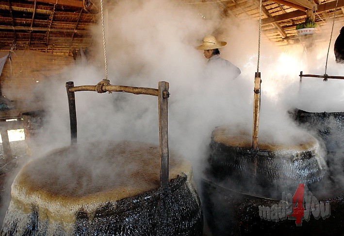 Steaming suggar boiler in the ancient suggarcane mill