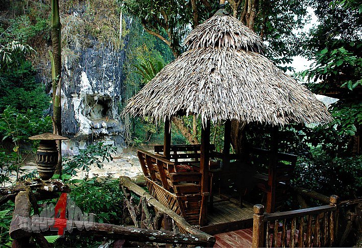 Jungle Lodge in Khao Sok National Park