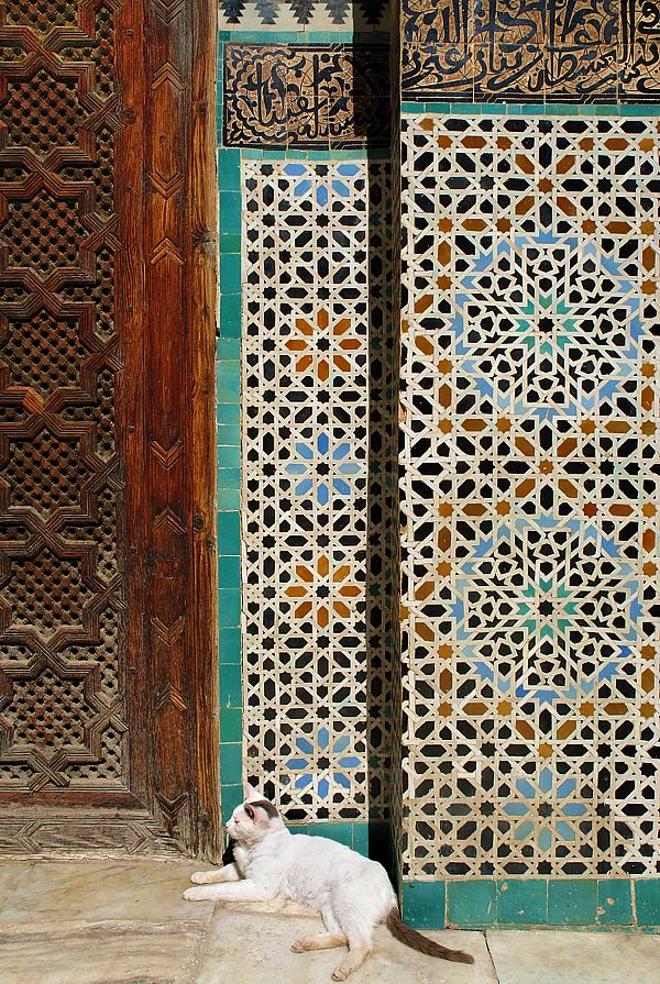 Mosaik Stilleben mit Katze in Fez