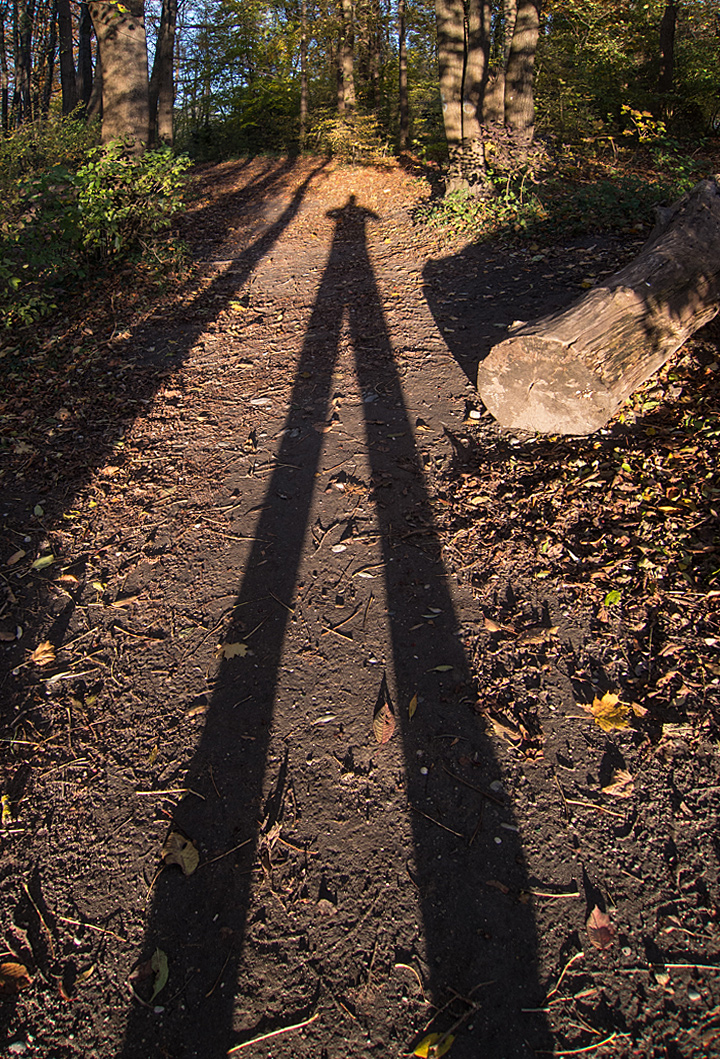 Long Shadow in Autumn