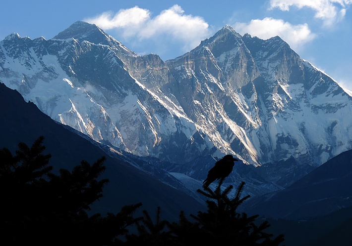 Crow with Everest and Lothse