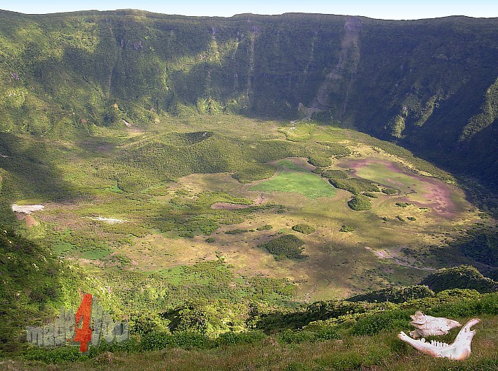 Blick in den 400m tiefen Kratergrund der Caldeira