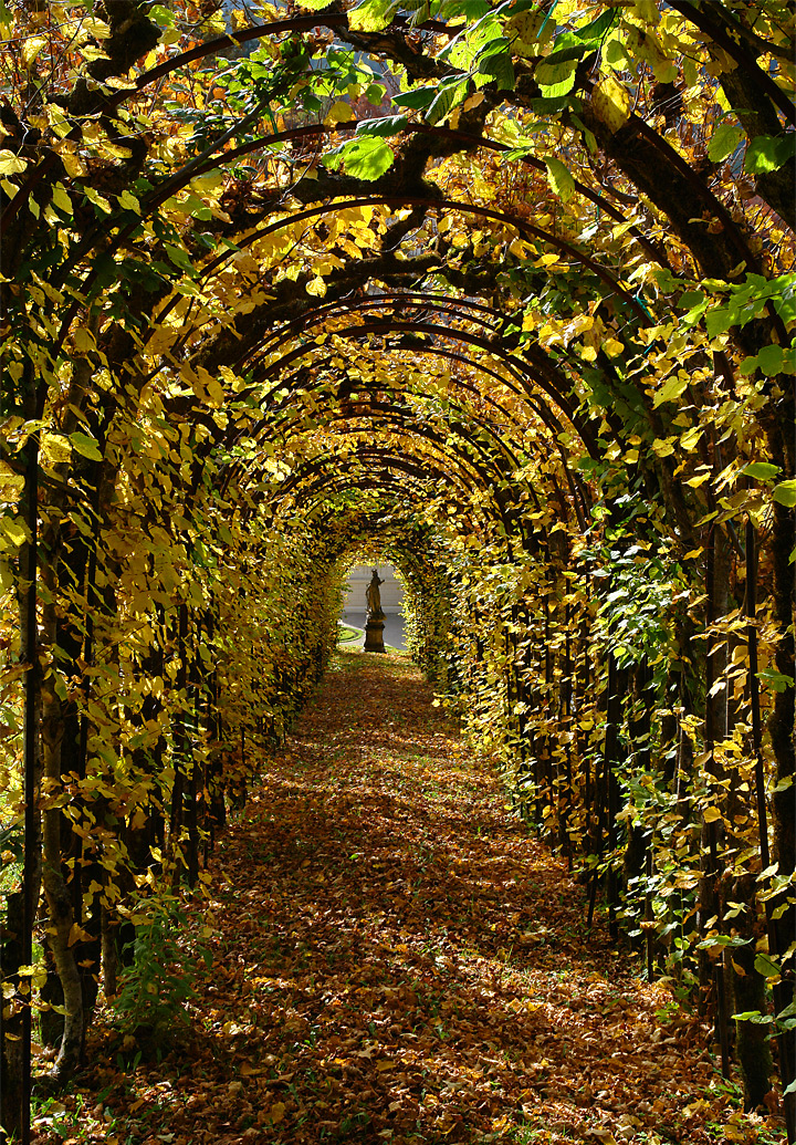 Linderhof Palace walkway in autumn