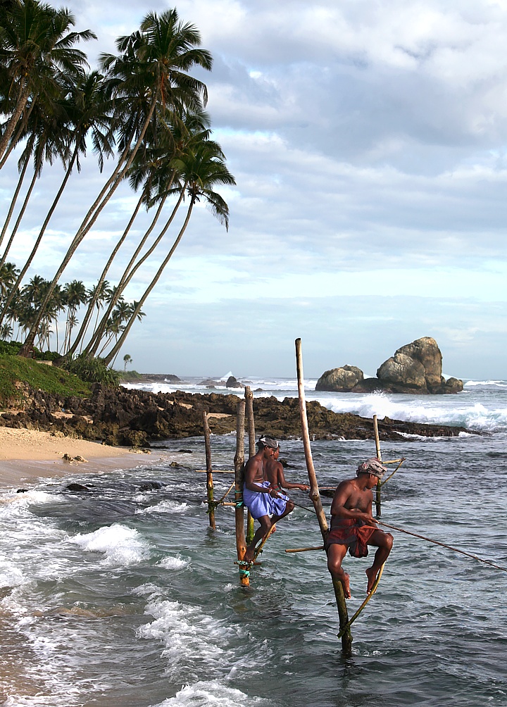 Stilt fishermen on the beach of Kogalla
