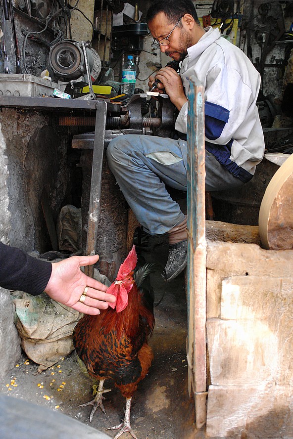 Craftsman with house cock in the Medina of Fez