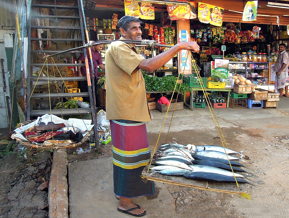 Poor fishmonger in Kandy