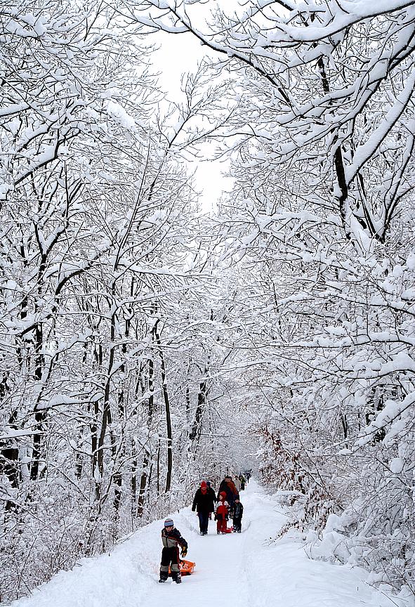 Winter romance in Munich - Snow korridor