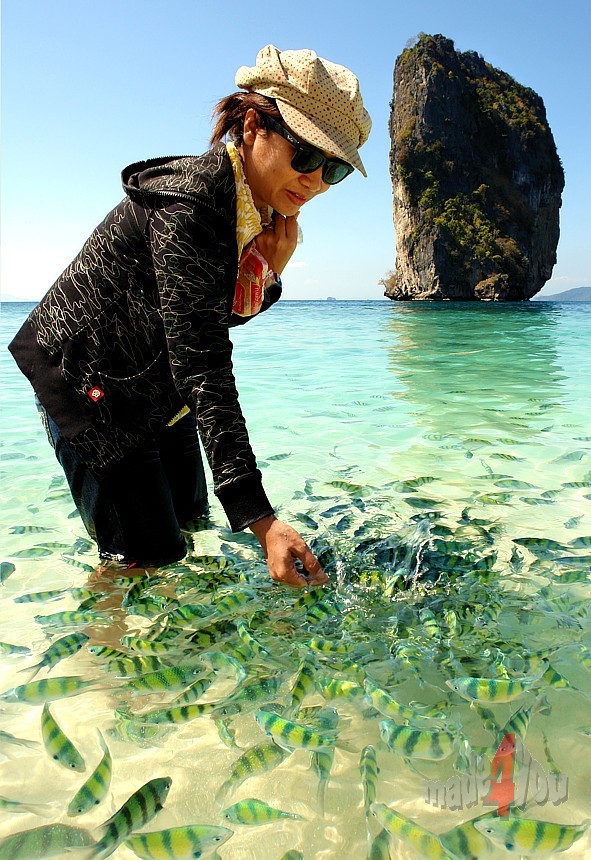 Traumhafte Meereslandschaft in Krabi Sdthailand