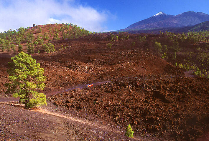 Hiking in the pineforest and volcano area of Tenerife