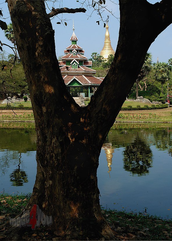 Small lake near Shwedagon Pagoda