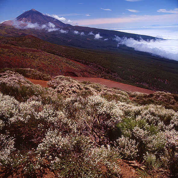 Volcano Teide on Tenerife