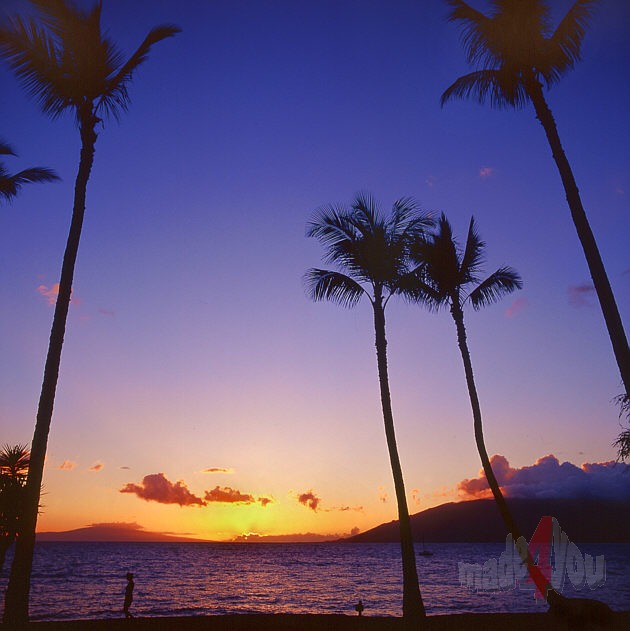 Sunset on Hawaii island Maui