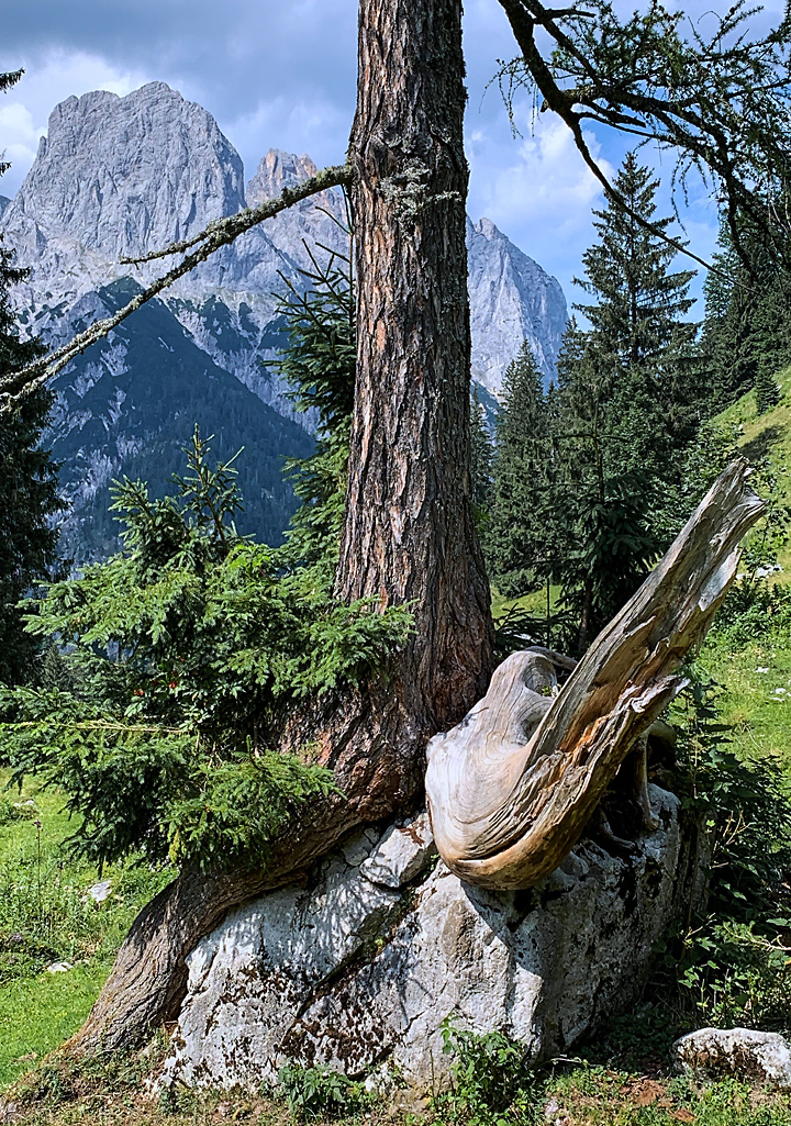 Klausbach valley in Nationalpark Berchtesgaden