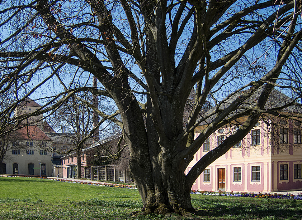 Salettl in Court Garden of University Weihenstephan