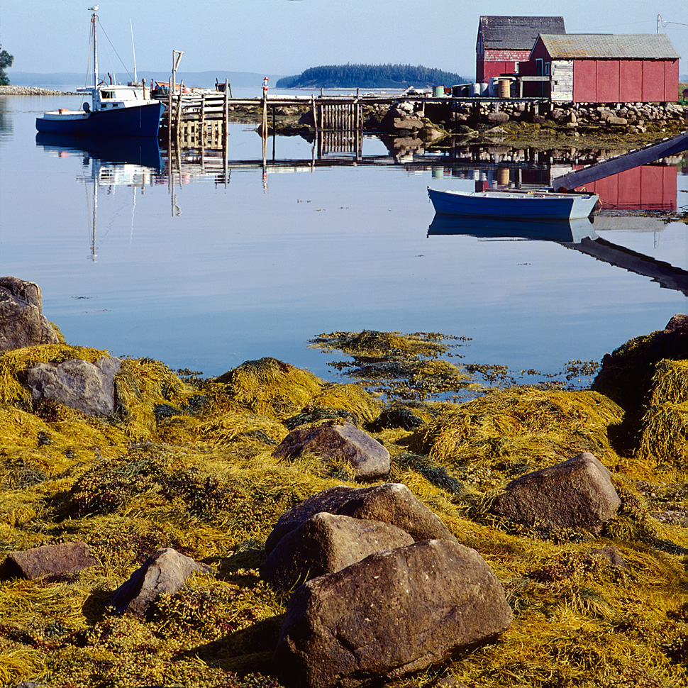 Lonely harbor on Newfoundland