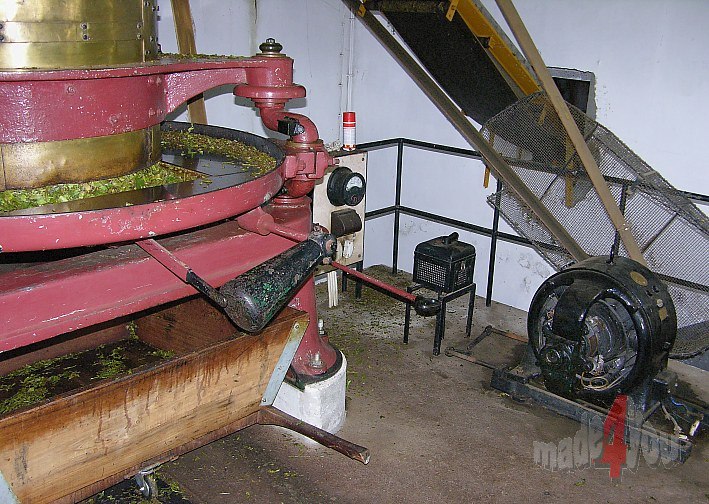 Nostalgische Teefabrik auf São Miguel