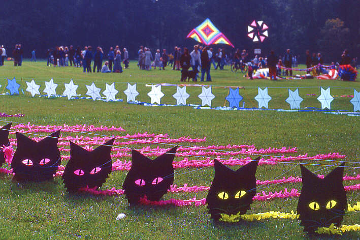 Cat eyes kites