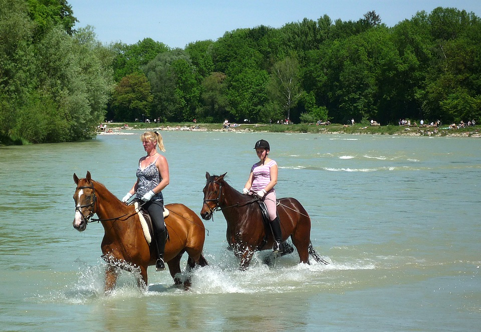 Horse riding in the river Isar near Flaucher