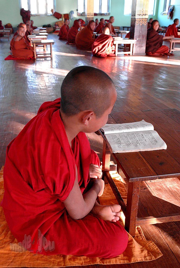Young Monks praying